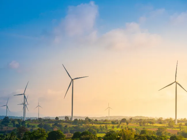 windmills